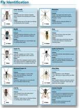 Flying Insect Products Kill Flies