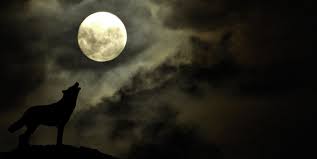 I'm a capricorn sun sign and a cancer moon sign female, what does that say about me? What January 2021 S Full Moon In Leo Means For Your Zodiac Sign