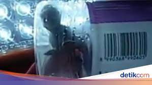 Pada kesempatan kali ini admin akan membahas sebuah informasi yang sedang trending mengenai link video viral di masukin botol. Viral Tuyul Ditangkap Dalam Botol Plastik Di Palembang Ini Penuturan Warga