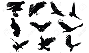 Silhouette aigle adler silhouette silhouette art cerf design metal wall art wood art plasma this american bald eagle is offered in three different sizes and is tempered to give it a bronze color with. Bald Eagle Silhouette Vector Illustration Royalty Free Cliparts Vectors And Stock Illustration Image 81552799