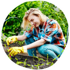 Bei hilfe können sie unseren kundenservice via telefon, mail oder chat erreichen. Nortembio Agro Organic Ph Reducer 5l Universal Use Descaler For Irrigation Systems Better Flavour And Aroma To Your Crops Amazon Co Uk Garden Outdoors