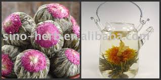 Tea flowers may be stored for additional brewing in a sealed container in the refrigerator for up to 48 hours (remove water prior. 100 Hand Made Organic Blooming Tea Balls Flower Blooming Tea Products China 100 Hand Made Organic Blooming Tea Balls Flower Blooming Tea Supplier