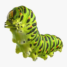 Papilio Machaon Caterpillar Reeps 3d Model Ad Machaon Papilio Caterpillar Model 3d Model Lion Sculpture Real Model
