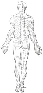 We did not find results for: Torso Wikipedia
