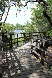 Secret Woods Nature Center Secret Woods Nature Center Florida Adventures South Florida Fun