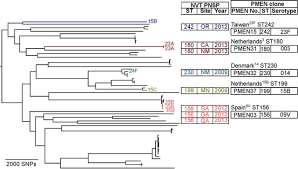 Deer are a beautiful and graceful wild animal. Genomic Epidemiology Of Penicillin Nonsusceptible Pneumococci With Nonvaccine Serotypes Causing Invasive Disease In The United States Journal Of Clinical Microbiology