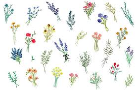 Garden Bouquets Clip Art Small Flower Drawings Watercolor Tattoo Flower Flower Doodles
