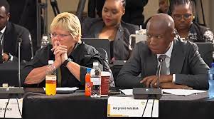 Julius Malema and other MPs press Dimpane for clarity on 'Cat' Matlala  contract - Inside Politic