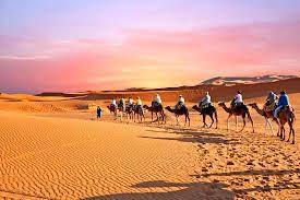 This trip begins in evening, we organize the camel ride for the night in desert from our guesthouse near the sand dunes. Days To Desert Sahara Merzouga Camel Trekking Night In Desert Sahara Picture Of Desert Espace Marrakech Tripadvisor