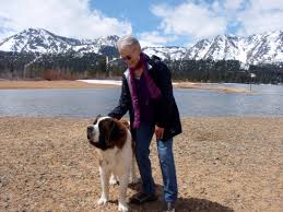 The area also boast several dog parks and dog friendly beaches to exercise your dog and introduce him to other local or vacationing pets. Top 10 Dog Friendly Places In Lake Tahoe Laketahoe Com