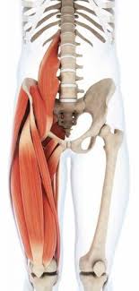 Pin On Back Pain