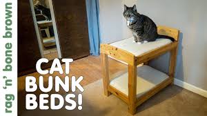 Cat or dog solid pine wooden bunk beds. Making Cat Or Dog Bunk Beds Youtube
