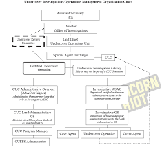 Ice Uncercover Org Chart Unicorn Riot