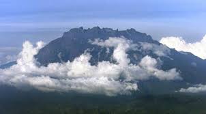 43w) merupakan siklon tropika terakhir yang terbentuk dalam musim taufan lautan pasifik bagi tahun 1996. 5 Fakta Gempa Malaysia Global Liputan6 Com