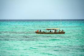 They include the plains of serengeti national park, a safari mecca populated by the big five game. Top 10 Tanzania Beaches For A Little Slice Of Paradise Hostelworld