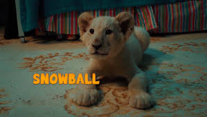 You can also download full movies from filmlicious and watch it later if you want. Lenaandsnowball Hashtag On Twitter