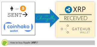 You can also use credit card to invest in ripple. What Is Ripple And How To Buy It