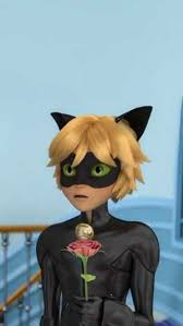 Check spelling or type a new query. Cat Noir Wallpaper Ixpap
