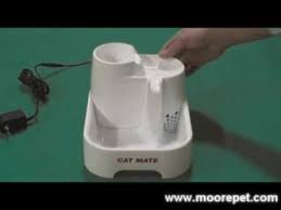 Cat Mate Fountain Water Dispenser By Animate Youtube