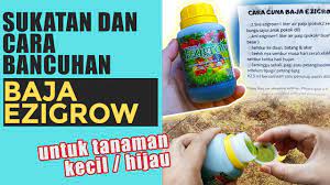 Umur anak benih dan kadar sukatan baja. Sukatan Cara Bancuhan Baja Ezigrow Youtube