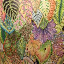 Sandra westergren 🎨🎨 on instagram: Pin On Livros De Colorir