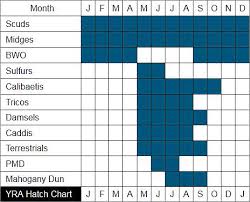 Yakima River And Rocky Ford Creek Hatch Charts