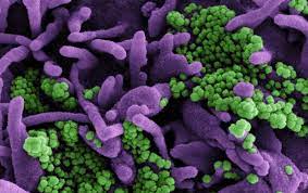 This week's edition of covid question time with professor tim spector responds to queries about the effectiveness of the astrazeneca vaccine against the. Axfznkwi 6lldm