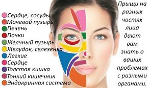 как избавиться от прыщей на носу в домашних условиях быстро Kak Bystro Izbavitsya Ot Pryshej Zhenskij Zhurnal Slender Woman