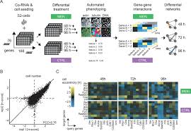 Refurbished beckman coulter 168 detector (p/n 728768). Time Resolved Mapping Of Genetic Interactions To Model Rewiring Of Signaling Pathways Elife