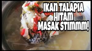 Di rempahkan bersama dengan serbuk paprika , serbuk bawang putih diramas dan disalut isi ikan dengan air perahan limau kuning / lemon dan mestega yang sudah di. 22 Ikan Talapia Stim Ikan Talapia Hitam Youtube