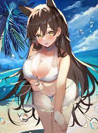 aa44 azur lane atago (azur lane) animal ears bikini see through swimsuits  undressing | #1006485 | yande.re