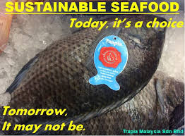 The country maintains a constant economical scale due. Trapia Tilapia Trapiatilapia Twitter