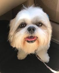 My mom said I'm beautiful. But so far nobody has loved my picture 🥹