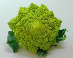 Sacred Geometry In Nature Romanesco Geometry In Nature Fractals