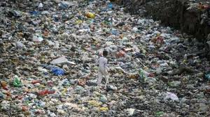 There are many small ways you can have a big impact. Petition Delhi Needs Your Help To Stop Plastic Pollution Change Org