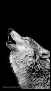 Pin By Muhammet Emin Akgul On 7mood Howling Wolf Tattoo Wolf Tattoos Wolf Howling