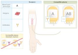 Check spelling or type a new query. Transfusion Amboss
