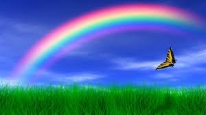 Check spelling or type a new query. Beautiful Real Life Rainbow Pictures Novocom Top