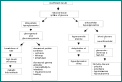 pathophysiology of diabetes mellitus