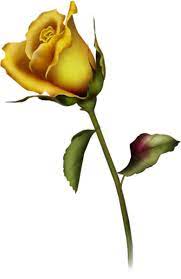 Yellow Rose Bud Art Clipart Yellow Rose Tattoos Rose Bud Tattoo Rose Buds