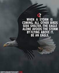 When A Storm Is Coming All Other Birds Seek Shelter The Eagle Alone Avoids The Storm By Flying Wallpaper Quotes Cosmic Quotes Study Motivation Quotes