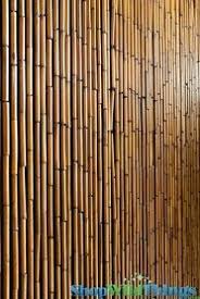 Plain Bamboo Curtain 125 Strands In Movie Australia Bamboo Beaded Curtains Door Beads Beaded Curtains