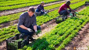 Daca ne raportam la piata de afaceri din romania, observam ca exista peste 1 poate aceasta este cea mai clasica afacere la tara intalnita in romania. Cum Sa Incepi O Afacere In Mediul Rural 10 Idei De Afaceri La Tara Cumsa Ro