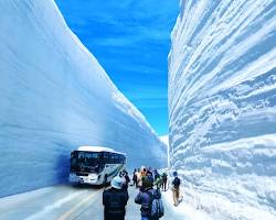富山県の立山黒部アルペンルート