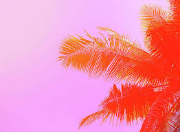 Tropical seamless pattern with palm leaves summer vector. Tropical Patterns Wall Art