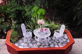 Nguyên liệu tiểu cảnh, cây cảnh mini tại Hải Phòng - Terrarium