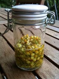 Fabriquer Un Macerat D Helichryse Recettes De Beaute Naturelles Recette Beaute Huile Essentielle Immortelle
