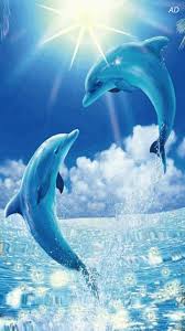 Https Encrypted Tbn0 Gstatic Com Images Q Tbn 3aand9gcrwp Gac1ovjhm0mwwp6g3bxq3mhprcfnwemq Usqp Cau