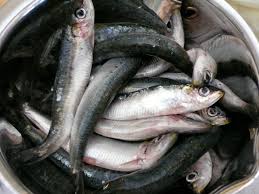 Maybe you would like to learn more about one of these? Sarde Incinte In Agrodolce Italicious