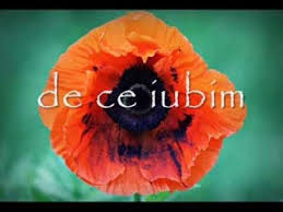 România deţine valoroase resurse naturale, ce se ascund în bogata reţea hidrografică. Directia 5 Feat Alinka Te Iubesc By Cat Music Subscribe To Catmusic Http X2f X2f Www Youtube Com X2f Subscription Center Add User Music Youtube Cats